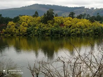 a body of water with trees in the background at Casa Justa in Castrelo de Miño