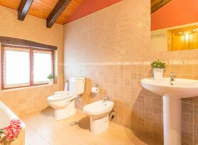 a bathroom with a toilet and a sink at Casa Gayón in Pola de Allande