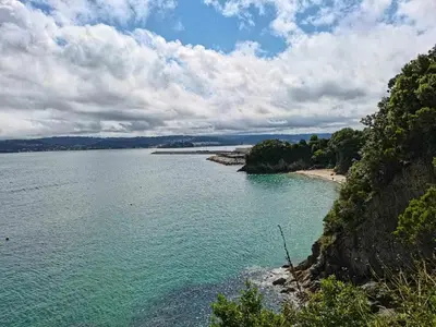 a view of a body of water with a beach at Apartamento Carreira Sada in Sada
