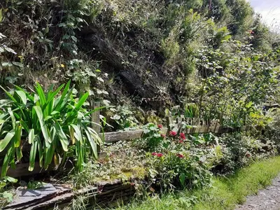 a garden with flowers and a wooden fence at Albergue ESCANLAR in Lugo