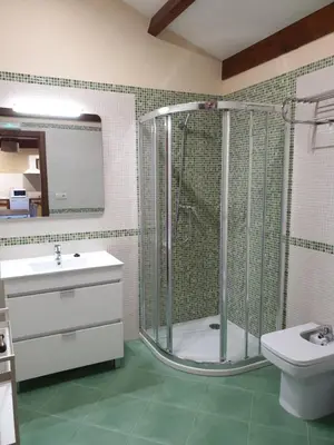 a bathroom with a shower and a toilet and a sink at Escola de Bieite in Boimorto