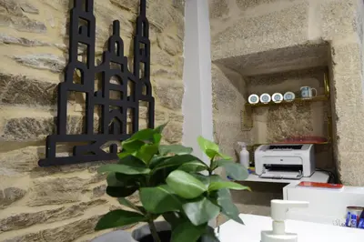 a plant sits on a table next to a wall at Alda Catedral in Santiago de Compostela