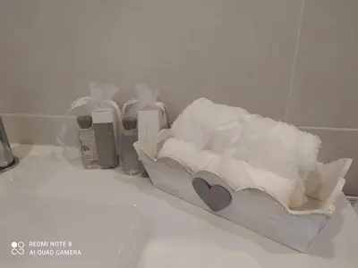 a pile of toilet paper sitting on top of a sink at Apartamentos Pontedeume Riadoeume in Puentedeume