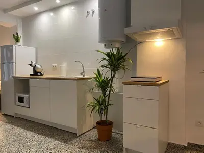 a kitchen with white cabinets and a potted plant at Apartamento Padron Centro P8 by URent in Padrón