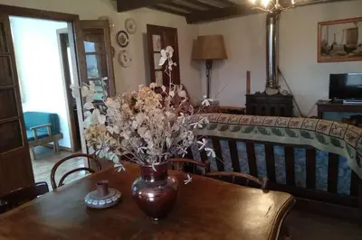 a vase of flowers on a table in a room at Casa Ribeira Sacra, Ourense, Niñodaguia, Galicia in Ourense