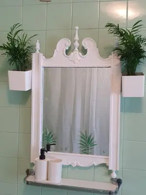 a mirror in a bathroom with two potted plants at Casa 2 Gallos in Ourense