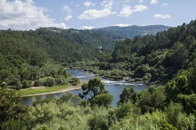 a river in the middle of a valley with trees at Casa 2 Gallos in Ourense