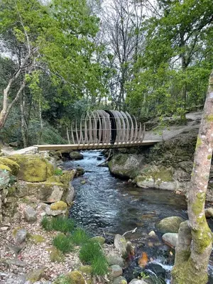 a wooden bridge over a stream in a forest at Casa 2 Gallos in Ourense