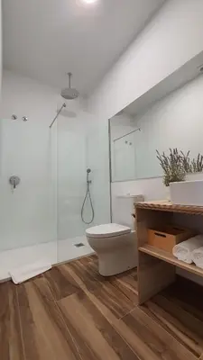 a white bathroom with a toilet and a shower at Apartamentos Antares 3 in Milladoiro