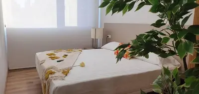 a bedroom with a bed with a plant next to it at Apartamentos Antares 3 in Milladoiro