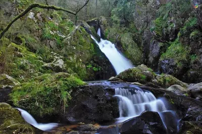 a waterfall in the middle of a forest at Eirixo in Valga