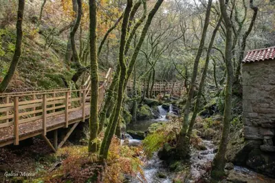 a bridge over a stream in a forest with a waterfall at Eirixo in Valga