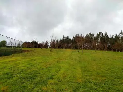 a field with a fence and trees in the background at Albergue Abeiro do Sor in Santa María