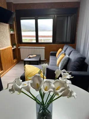 a vase with white flowers on a table in a living room at El Camino in Laza