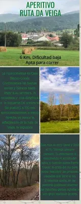 a collage of four pictures of trees and grass at El Camino in Laza