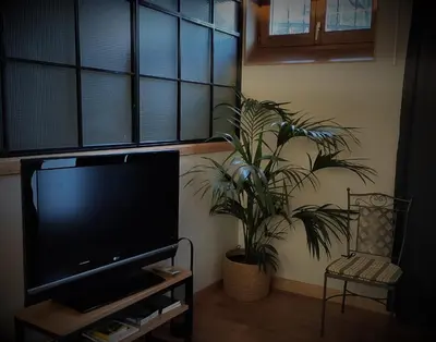 a living room with a flat screen tv and a plant at Prao del Molin in Cangas del Narcea