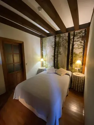 a bedroom with a white bed and two lamps at La Hoja de Roble in Puebla de Sanabria