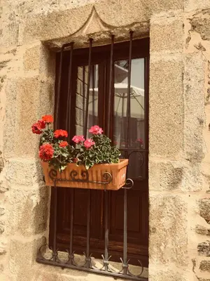 a window with a pot with red flowers on it at La Hoja de Roble in Puebla de Sanabria