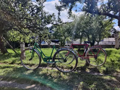 two bikes parked next to each other in the grass at La casa de Angel y Olimpia in Lugo
