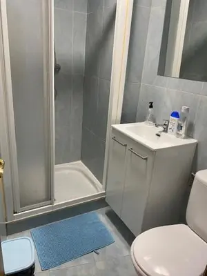 a bathroom with a shower and a toilet and a sink at entrepraciñas 1 in Santiago de Compostela