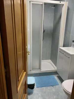 a bathroom with a shower and a toilet and a sink at entrepraciñas 1 in Santiago de Compostela