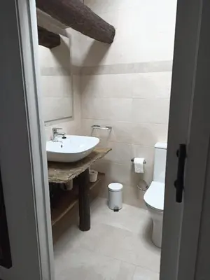 a bathroom with a sink and a toilet at Finca Eiras in Lugo