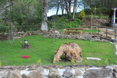 a garden with a tree stump in the grass at A Nosa Casa 2 in Belesar