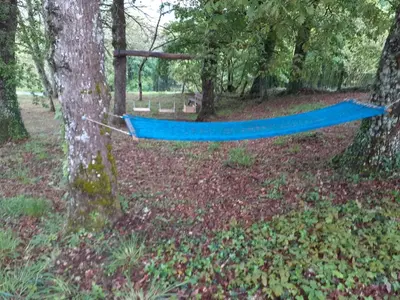 a blue hammock hanging between two trees in a forest at A Nosa Casa 2 in Belesar