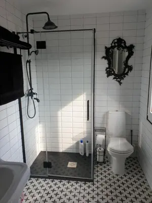 a bathroom with a shower with a toilet and a sink at Casa Honorio in Santa Marina del Sil