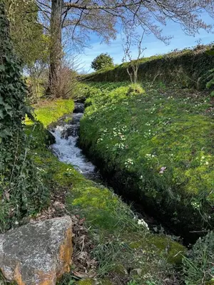 a wooden bridge leading to a field with a tree at Casa O Pazo - Rural - Camino Norte - Boimorto in Boimorto