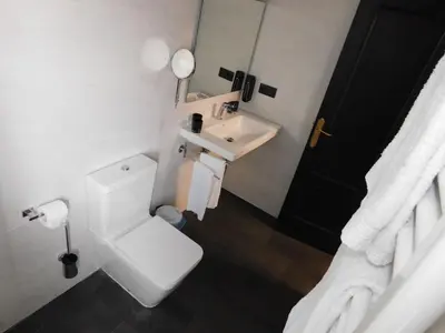 a bathroom with a toilet and a sink at HOTEL TERRA GALEGA MEIGA in Monforte de Lemos