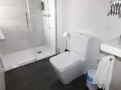 a white bathroom with a shower and a toilet at HOTEL TERRA GALEGA MEIGA in Monforte de Lemos