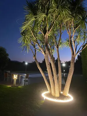 two palm trees with lights in a park at night at Villa Bimba, alojamiento con piscina y barbacoa in Caldas de Reis
