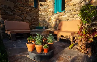 a group of potted plants in front of a building at CASA TERRA ALMA in Laza