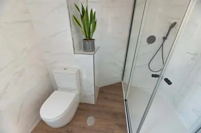 a bathroom with a toilet and a shower and a plant at LA CASITA DE FINA in Caldas de Reis