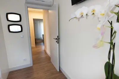 a hallway with a white door and a plant at LA CASITA DE FINA in Caldas de Reis