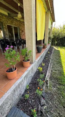 a row of potted plants on the porch of a house at CASAPUEBLO Arzúa in Campo