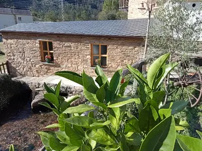 a small stone house with a plant in front of it at A Casa das Augas in Mondoñedo
