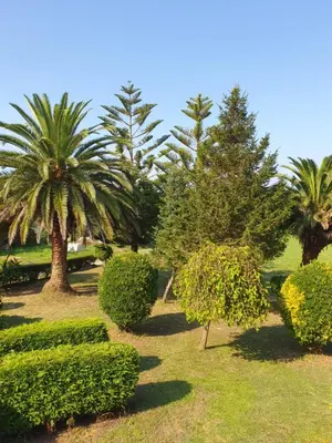 a park with trees and bushes and palm trees at Casa Arquella in Cartavio
