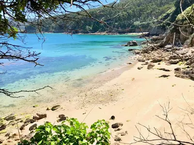a sandy beach with blue water and trees at The Cliffs - Sunset Village Beach 3E in Viveiro