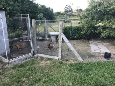 a chicken coop with chickens inside of it at La Favorita in Pontevedra