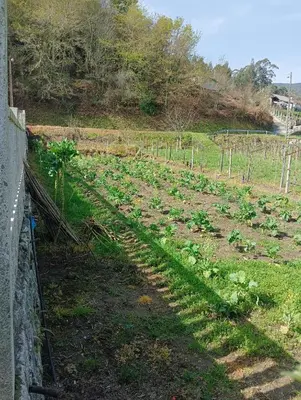 a field with a fence and a field of plants at La Favorita in Pontevedra