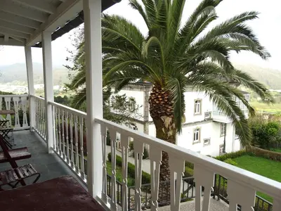 a palm tree on the porch of a house at Apartamentos Minas de Silvarosa in Viveiro