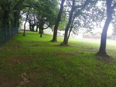 a group of trees in a field with green grass at Landras de Compostela in Santiago de Compostela