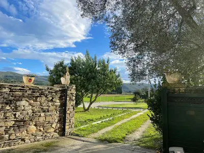 a stone fence with vases on top of it at Estudio Pajar rural con bonito jardín - Los Gayoles Rural in Castropol