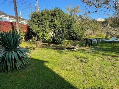 a cat laying in the grass in a yard at AT El Manzano - Jardín & BBQ - Los Gayoles Rural in Castropol