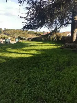 a park with a tree and a picnic table in the grass at Casa con finca en Pol, Monforte de Lemos in Monforte de Lemos