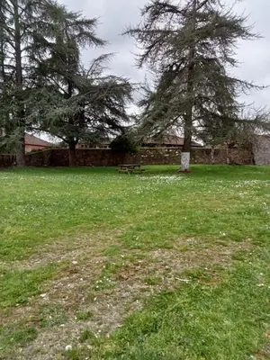 a park with two trees and a bench in the grass at Casa con finca en Pol, Monforte de Lemos in Monforte de Lemos