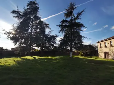 two trees in a grassy yard next to a building at Casa con finca en Pol, Monforte de Lemos in Monforte de Lemos