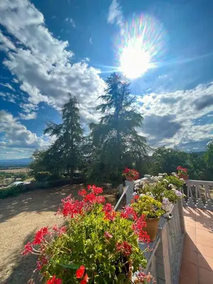 a bunch of flowers on a balcony with the sun at Casa con finca en Pol, Monforte de Lemos in Monforte de Lemos